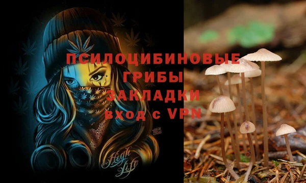 скорость Балахна