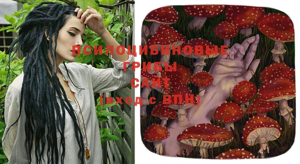 скорость Балахна